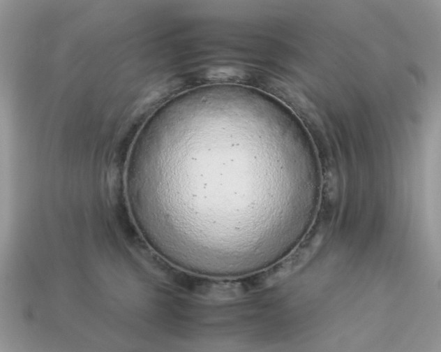 X0000113040375200909101923
