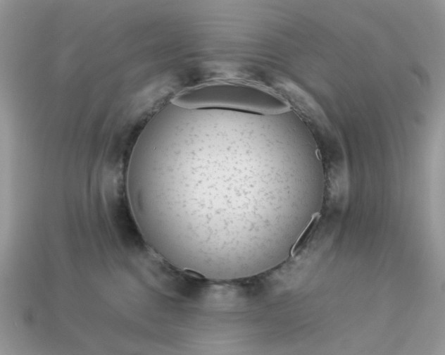 X0000113040376200909101923