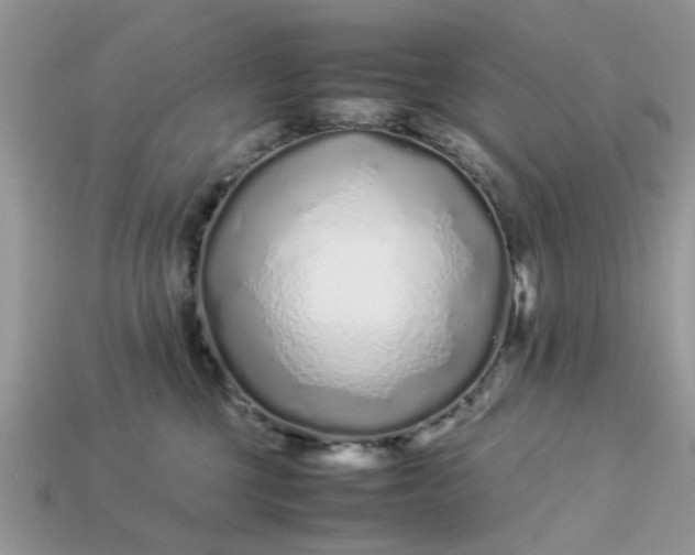 X0000113040377200909101923