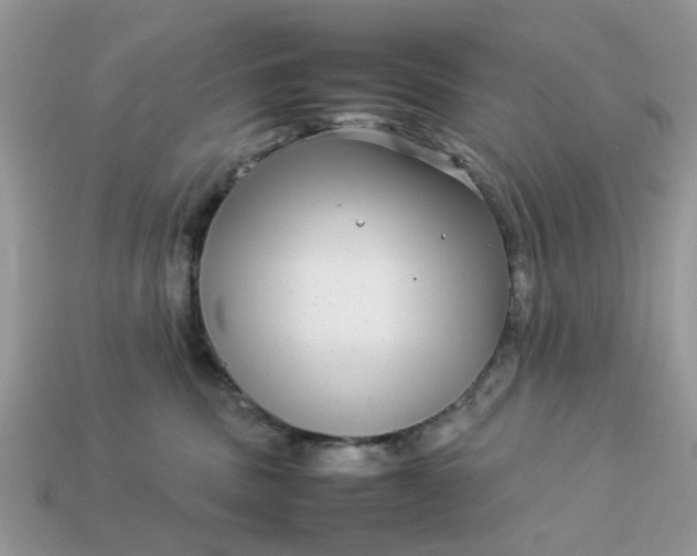 X0000113040379200909101923