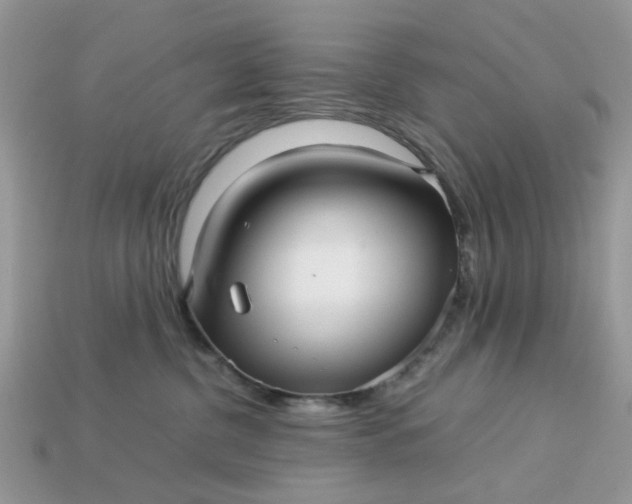 X0000113040380200909101923