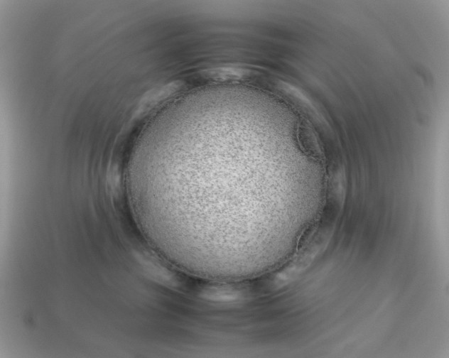 X0000113040381200909101923