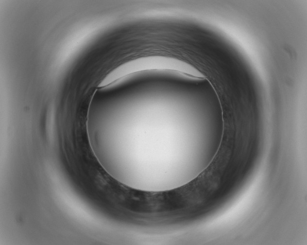 X0000113040382200909101923