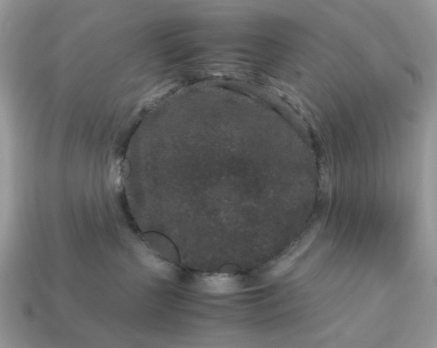 X0000113040383200909101923