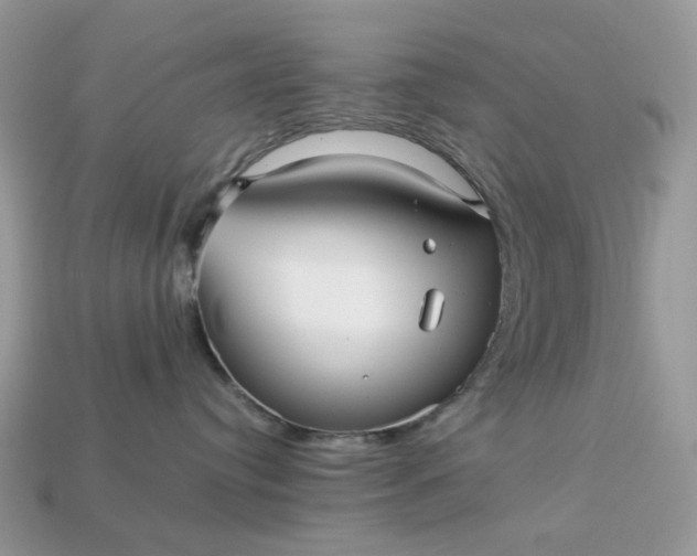 X0000113040384200909101923