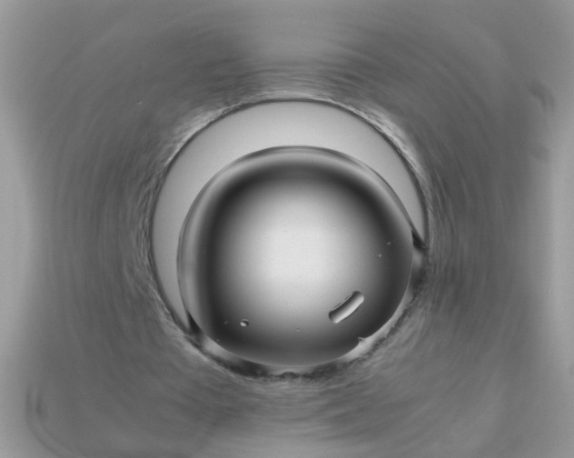 X0000113040385200909101922