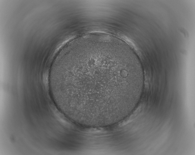 X0000113040386200909101922