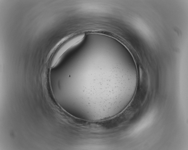 X0000113040387200909101922
