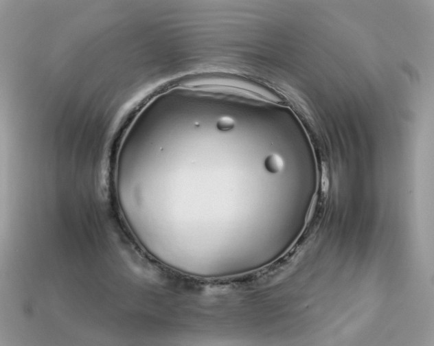 X0000113040388200909101922