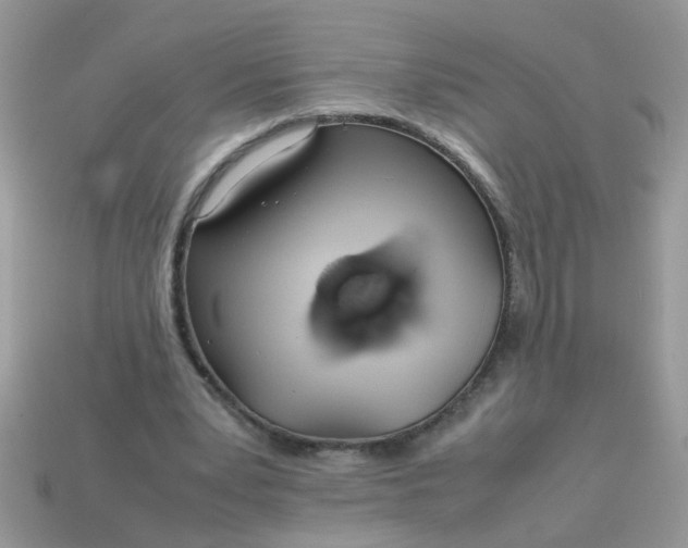 X0000113040391200909101922