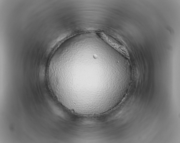 X0000113040394200909101922