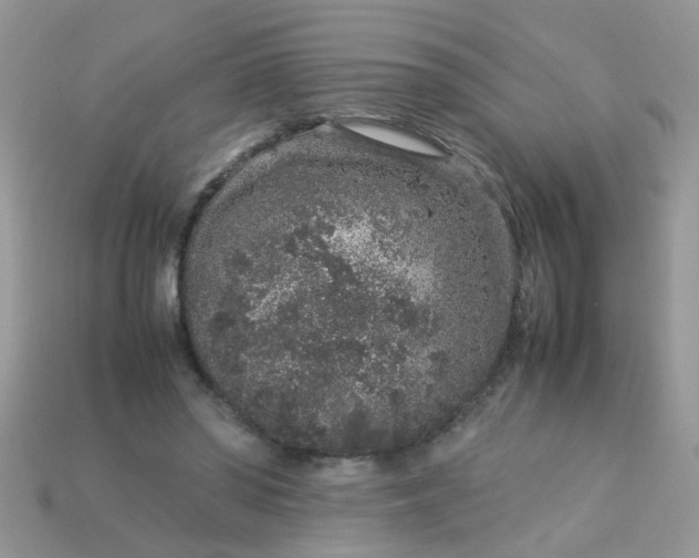 X0000113040398200909101922