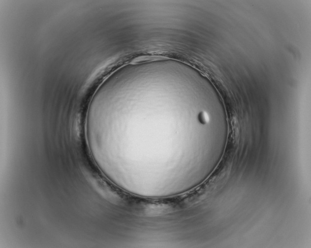 X0000113040400200909101922