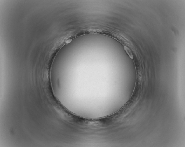 X0000113040401200909101922