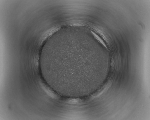X0000113040402200909101922