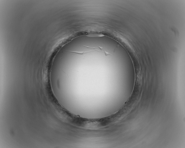 X0000113040403200909101922