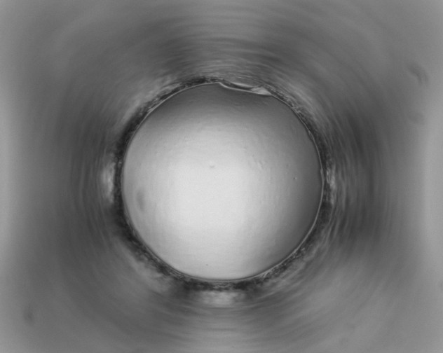 X0000113040404200909101922