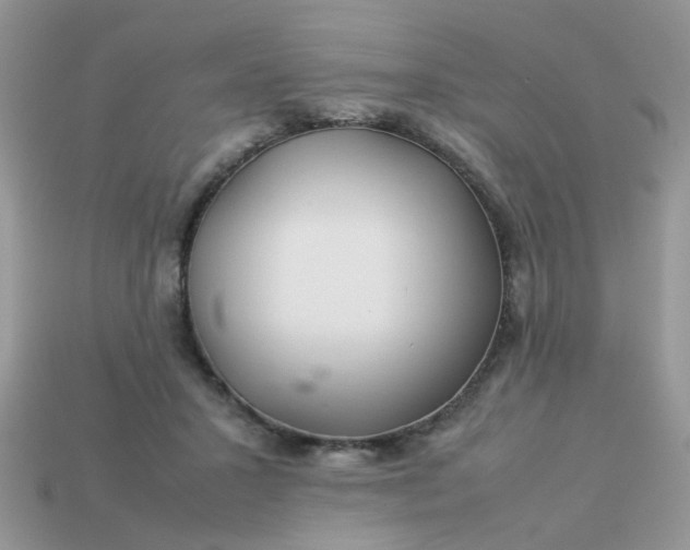 X0000113040407200909101922