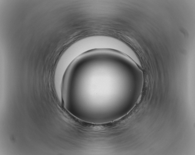 X0000113040409200909101922