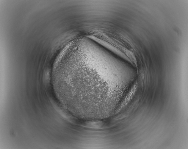 X0000113040410200909101922