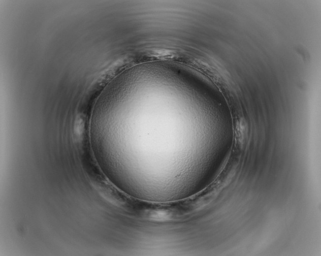 X0000113040412200909101922