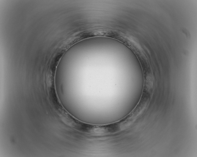 X0000113040413200909101922