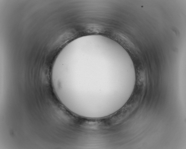 X0000113040414200909101922