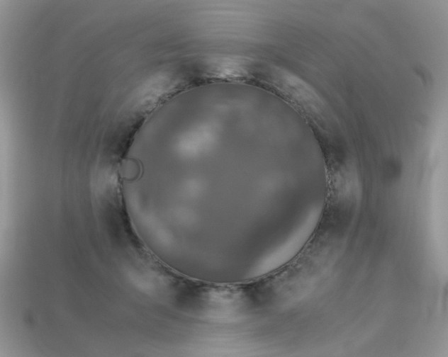 X0000113040415200909101922