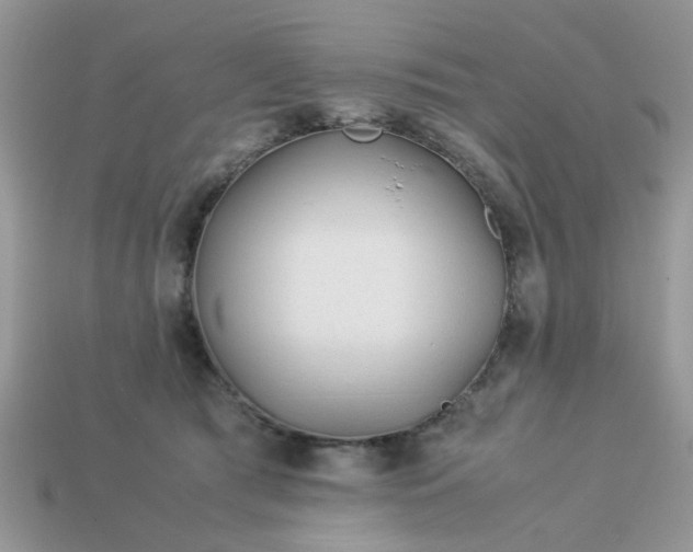 X0000113040417200909101922