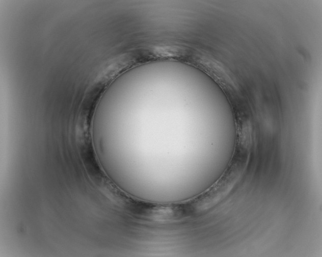 X0000113040418200909101922