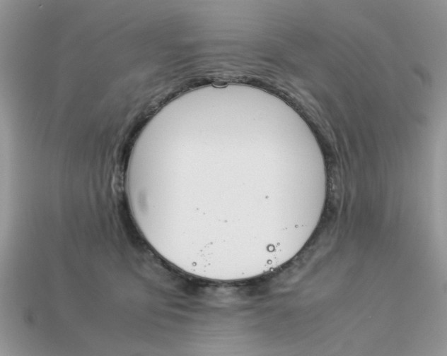 X0000113040419200909101922