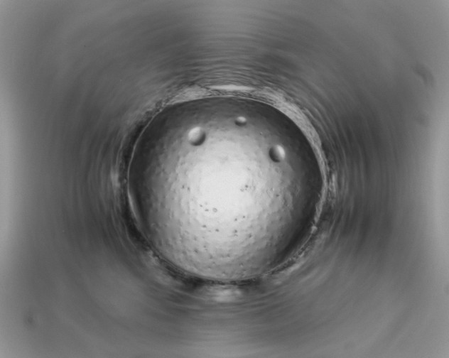 X0000113040424200909101922