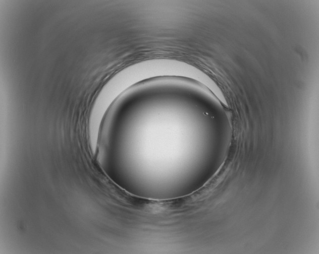 X0000113040425200909101922