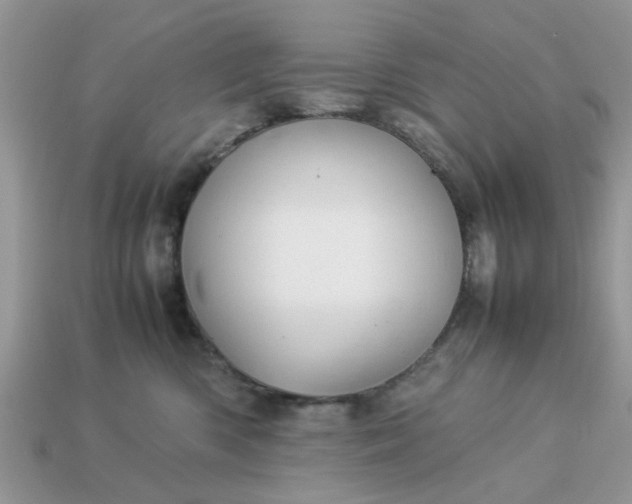 X0000113040426200909101922