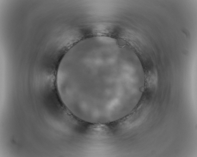 X0000113040427200909101922