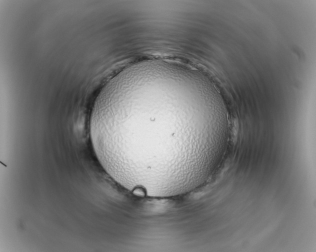 X0000113040428200909101922