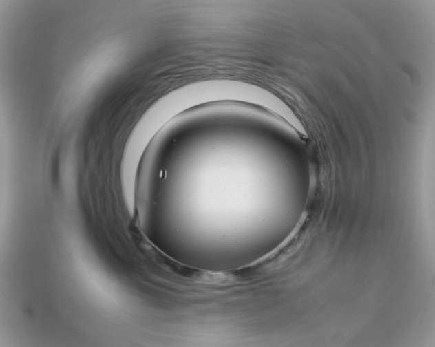 X0000113040429200909101922