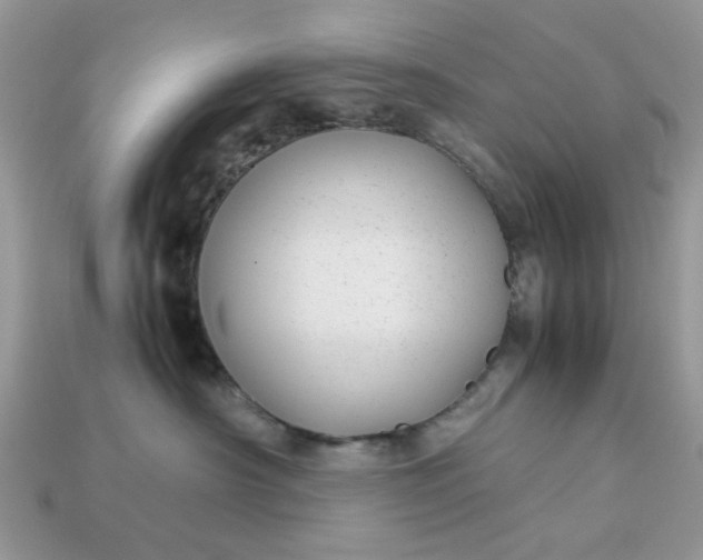 X0000113040430200909101922