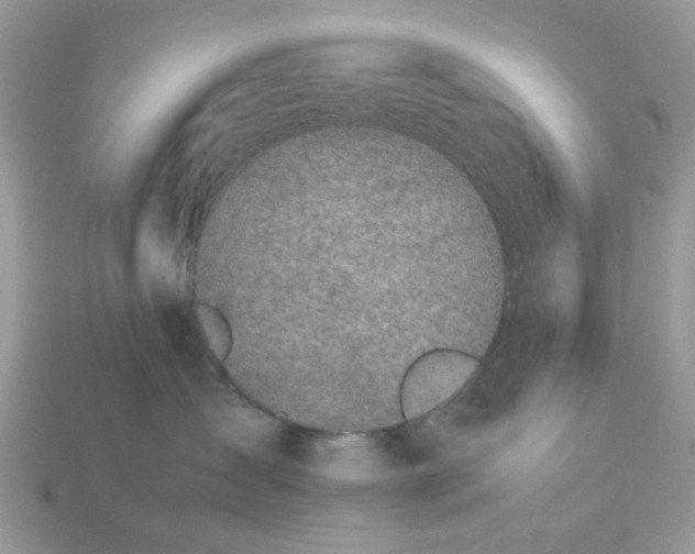 X0000113040431200909101922