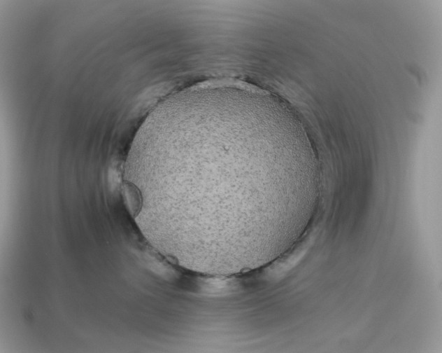 X0000113040432200909101922