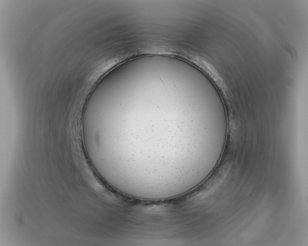 X0000113040433200909101921