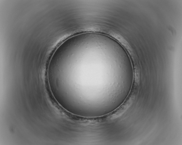 X0000113040434200909101921