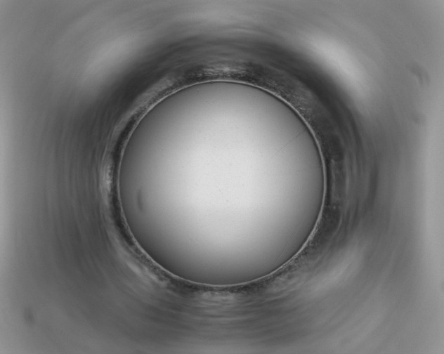 X0000113040435200909101921