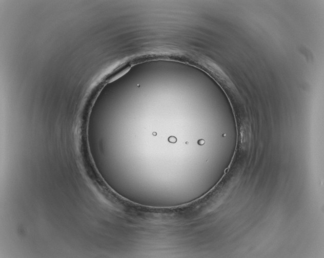 X0000113040436200909101921