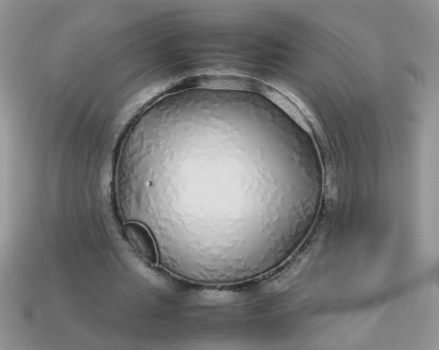 X0000113040437200909101921