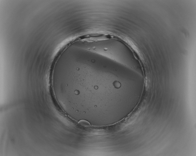 X0000113040438200909101921