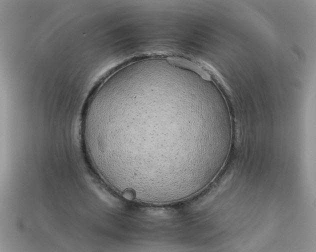 X0000113040439200909101921