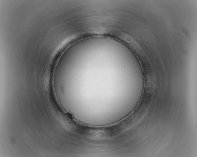 X0000113040440200909101921
