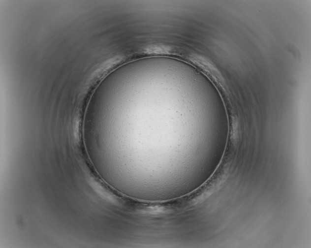 X0000113040441200909101921