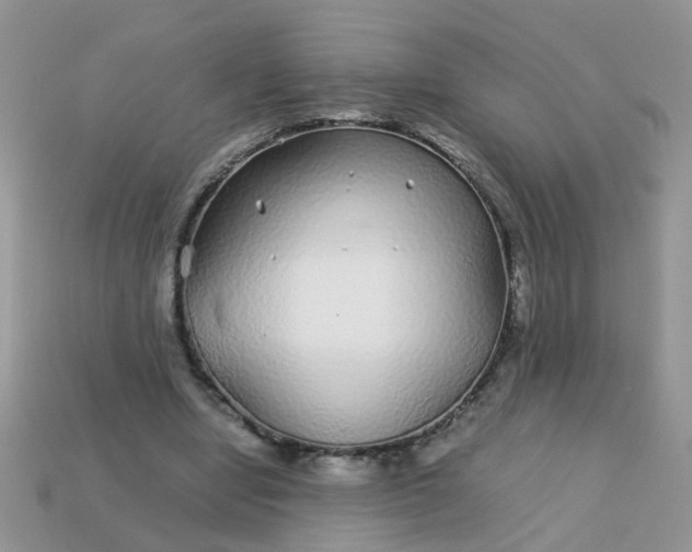 X0000113040442200909101921